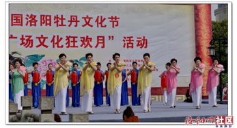 各模特隊(duì)顯身手——周王城廣場牡丹文化節(jié)活動(dòng)掠影