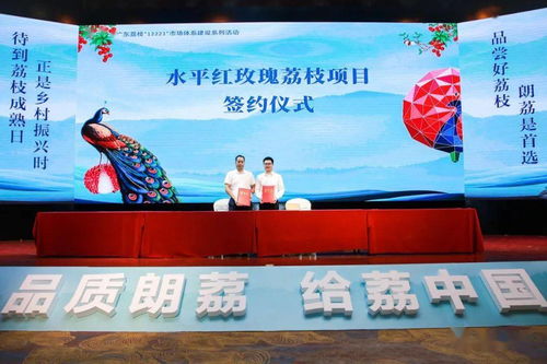 品質(zhì)朗荔 給荔中國 2021第七屆中國·東莞互聯(lián)網(wǎng)荔枝節(jié)暨大朗荔枝品牌文化推廣盛大啟動(dòng)